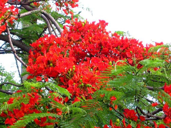 Page Hải Phòng